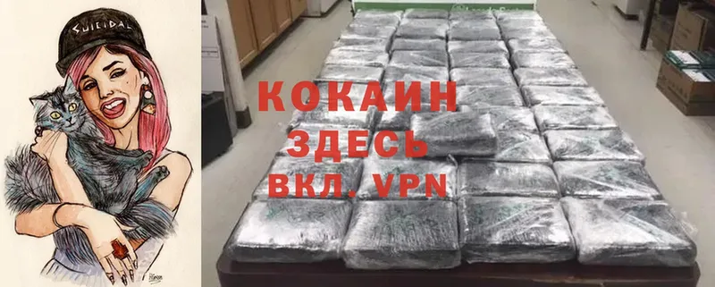 закладки  Великий Устюг  Cocaine Columbia 