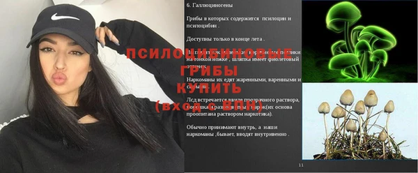 2c-b Пересвет