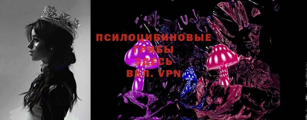 дурь Покачи