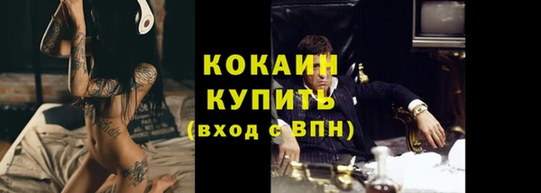 дурь Покачи