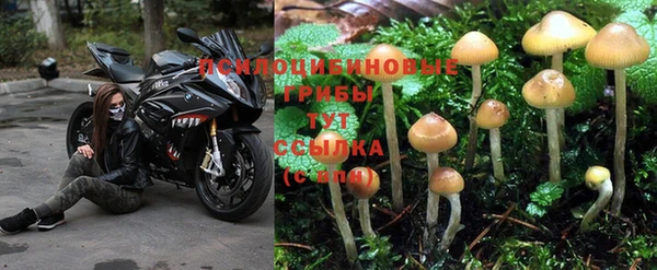 гидропоника Балашиха