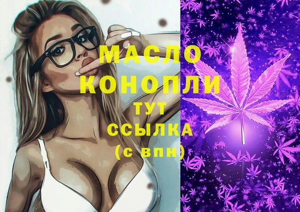 молекула духа Заволжье