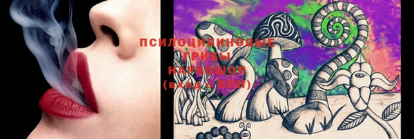 гашик Ветлуга