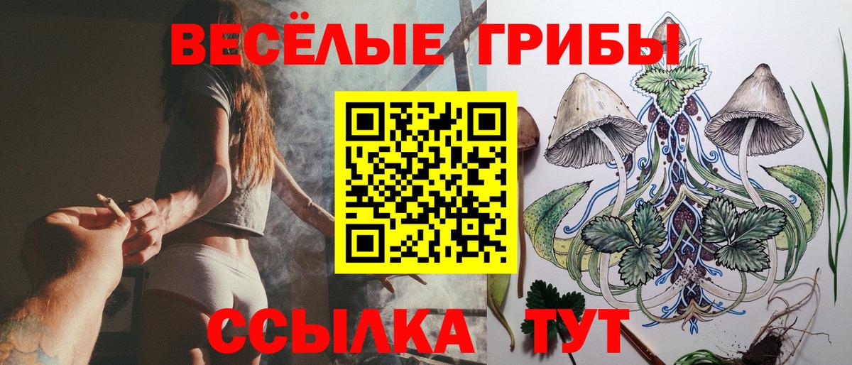 Псилоцибиновые грибы MAGIC MUSHROOMS Великий Устюг