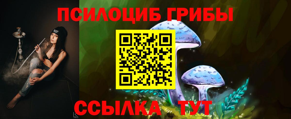Галлюциногенные грибы Cubensis Великий Устюг